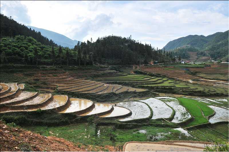 Les environs et le Village de Ta Phin dans la région de Sapa -ethnie des Dzao Rouge-. (11)