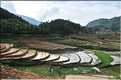 Les environs et le Village de Ta Phin dans la région de Sapa -ethnie des Dzao Rouge-. (11)