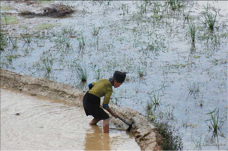 Les environs et le Village de Ta Phin dans la région de Sapa -ethnie des Dzao Rouge-. (15)