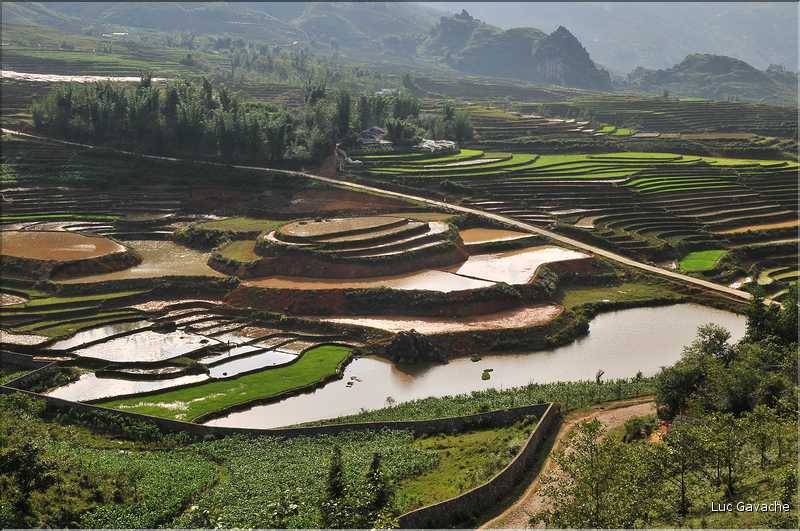 Les environs et le Village de Ta Phin dans la région de Sapa -ethnie des Dzao Rouge-. (20)