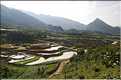 Les environs et le Village de Ta Phin dans la région de Sapa -ethnie des Dzao Rouge-. (21)