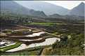 Les environs et le Village de Ta Phin dans la région de Sapa -ethnie des Dzao Rouge-. (22)
