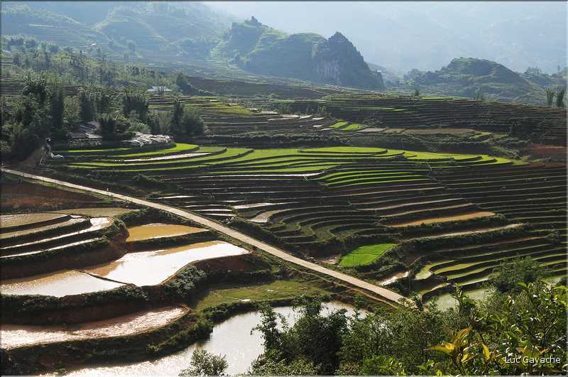 Les environs et le Village de Ta Phin dans la région de Sapa -ethnie des Dzao Rouge-. (23)