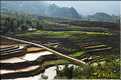 Les environs et le Village de Ta Phin dans la région de Sapa -ethnie des Dzao Rouge-. (23)