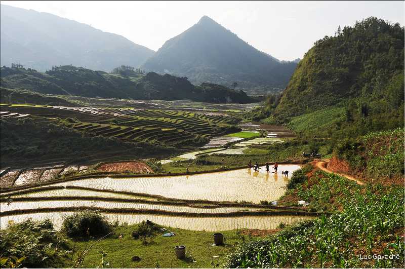Les environs et le Village de Ta Phin dans la région de Sapa -ethnie des Dzao Rouge-. (24)