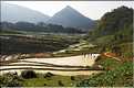 Les environs et le Village de Ta Phin dans la région de Sapa -ethnie des Dzao Rouge-. (24)