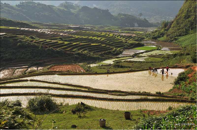Les environs et le Village de Ta Phin dans la région de Sapa -ethnie des Dzao Rouge-. (25)