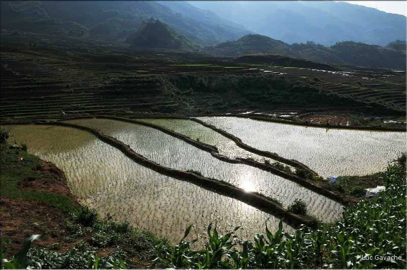 Les environs et le Village de Ta Phin dans la région de Sapa -ethnie des Dzao Rouge-. (26)