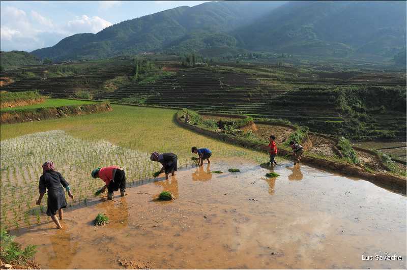 Les environs et le Village de Ta Phin dans la région de Sapa -ethnie des Dzao Rouge-. (28)