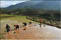 Les environs et le Village de Ta Phin dans la région de Sapa -ethnie des Dzao Rouge-. (28)