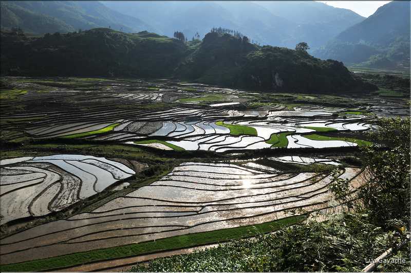 Les environs et le Village de Ta Phin dans la région de Sapa -ethnie des Dzao Rouge-. (31)
