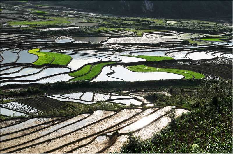 Les environs et le Village de Ta Phin dans la région de Sapa -ethnie des Dzao Rouge-. (33)