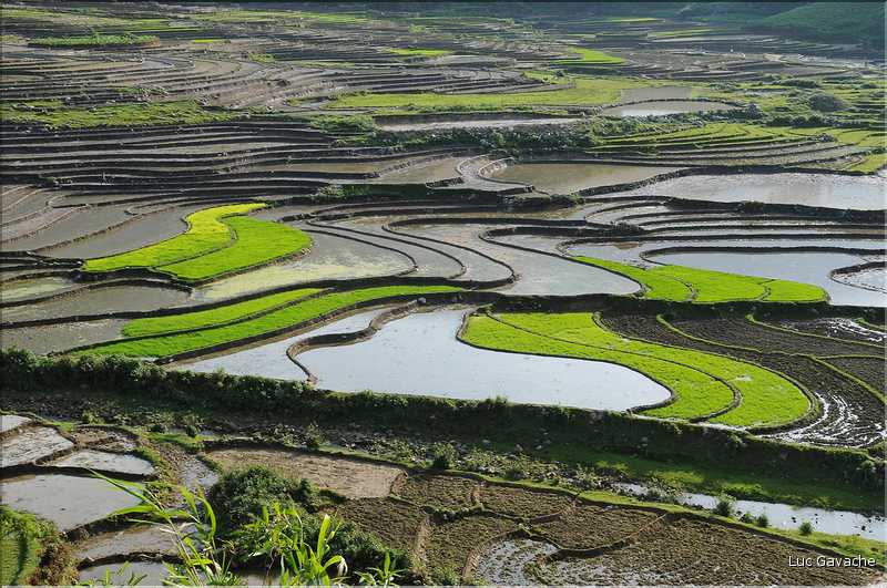 Les environs et le Village de Ta Phin dans la région de Sapa -ethnie des Dzao Rouge-. (35)