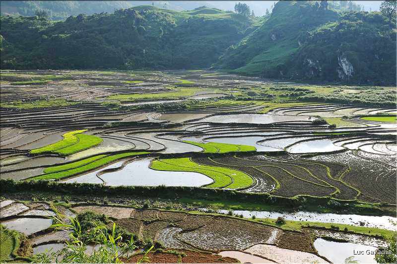 Les environs et le Village de Ta Phin dans la région de Sapa -ethnie des Dzao Rouge-. (36)