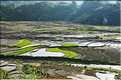 Les environs et le Village de Ta Phin dans la région de Sapa -ethnie des Dzao Rouge-. (36)