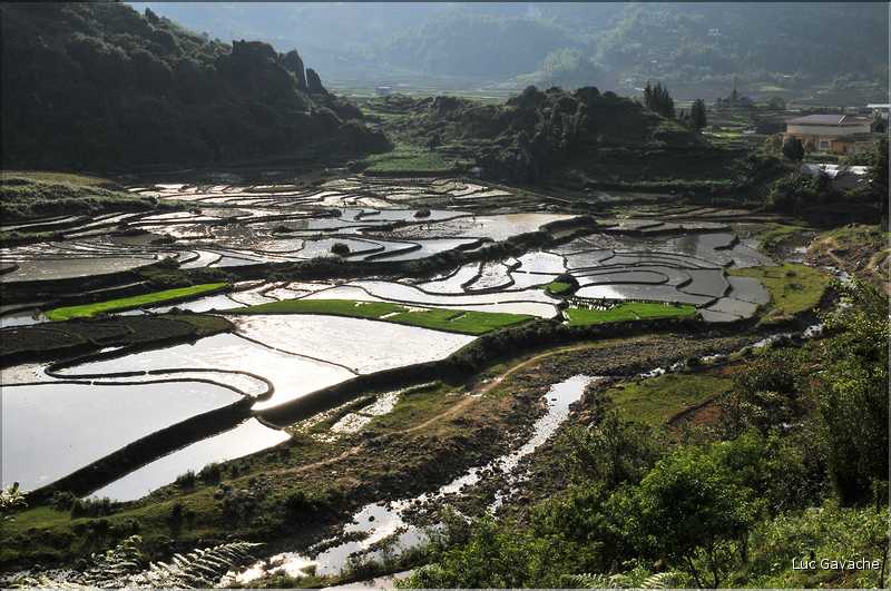 Les environs et le Village de Ta Phin dans la région de Sapa -ethnie des Dzao Rouge-. (37)