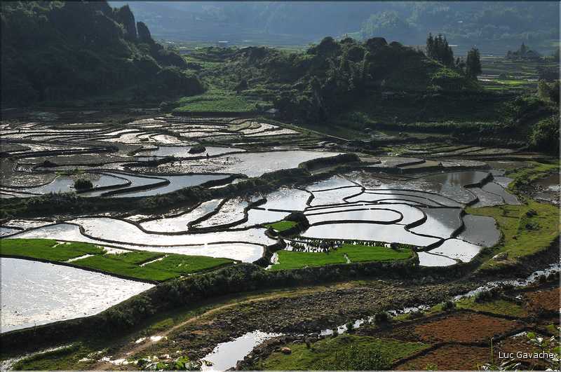 Les environs et le Village de Ta Phin dans la région de Sapa -ethnie des Dzao Rouge-. (39)