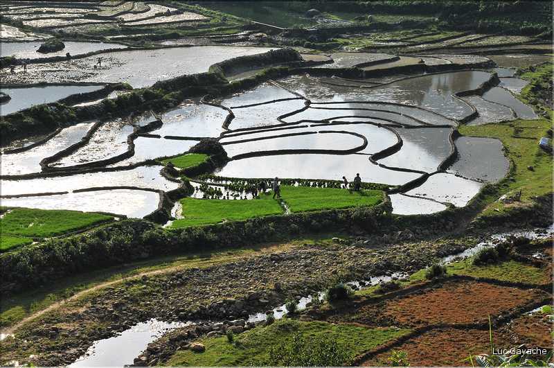 Les environs et le Village de Ta Phin dans la région de Sapa -ethnie des Dzao Rouge-. (40)