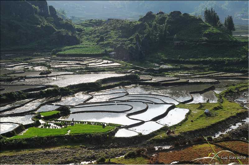 Les environs et le Village de Ta Phin dans la région de Sapa -ethnie des Dzao Rouge-. (41)