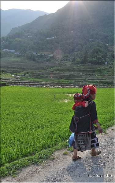 Les environs et le Village de Ta Phin dans la région de Sapa -ethnie des Dzao Rouge-. (45)