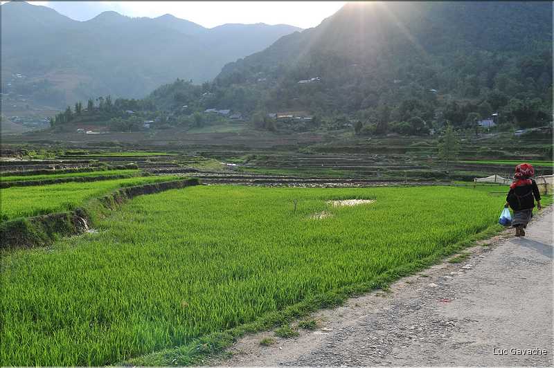 Les environs et le Village de Ta Phin dans la région de Sapa -ethnie des Dzao Rouge-. (46)
