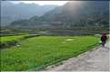 Les environs et le Village de Ta Phin dans la région de Sapa -ethnie des Dzao Rouge-. (46)