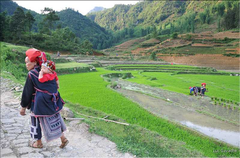 Les environs et le Village de Ta Phin dans la région de Sapa -ethnie des Dzao Rouge-. (48)