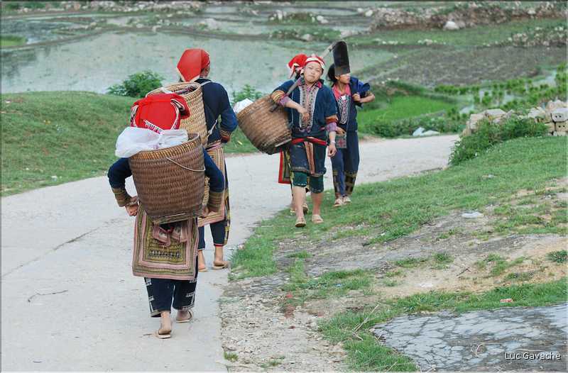 Les environs et le Village de Ta Phin dans la région de Sapa -ethnie des Dzao Rouge-. (53)