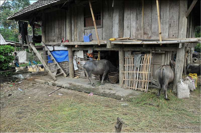 Village de Ban Nà Luông. (14)