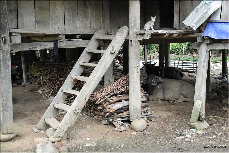 Village de Ban Nà Luông. (2)