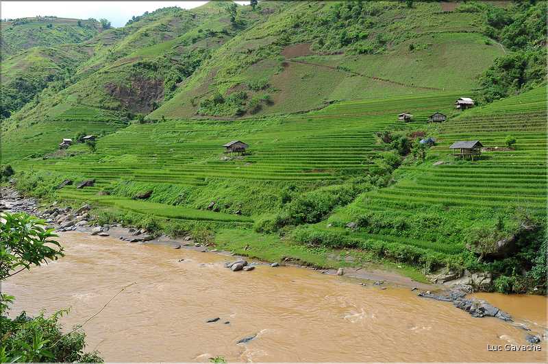 Paysage typique de rizière à l'approche de Mu Cang Chai. (1)