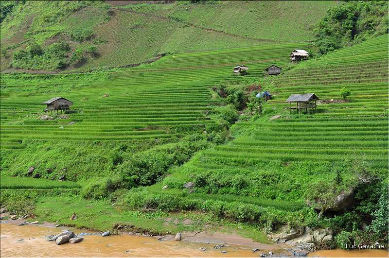 Paysage typique de rizière à l'approche de Mu Cang Chai. (2)