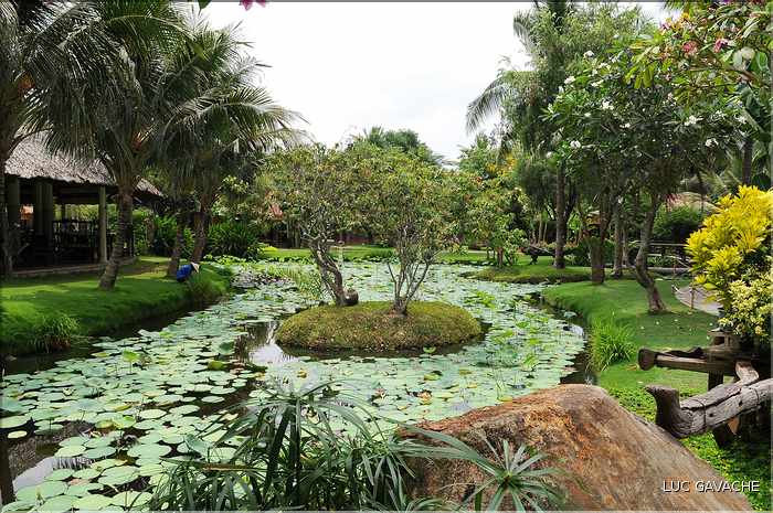 Jardin ornemental, non loin du Delta du Mékong. (3)