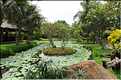 Jardin ornemental, non loin du Delta du Mékong. (3)