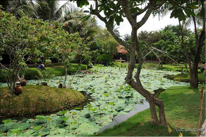 Jardin ornemental, non loin du Delta du Mékong. (4)