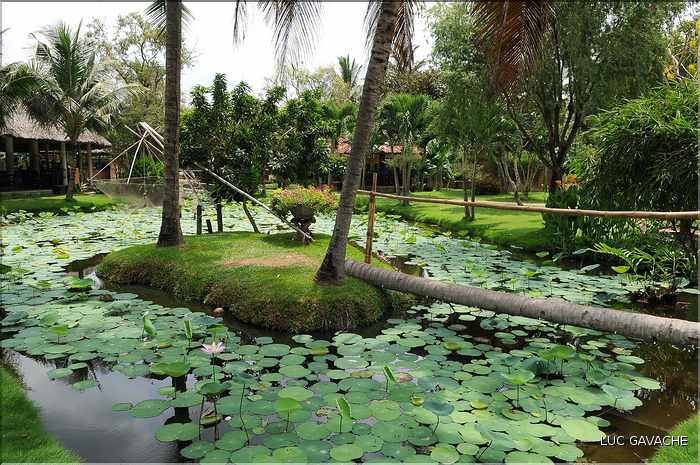 Jardin ornemental, non loin du Delta du Mékong. (5)
