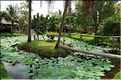 Jardin ornemental, non loin du Delta du Mékong. (5)
