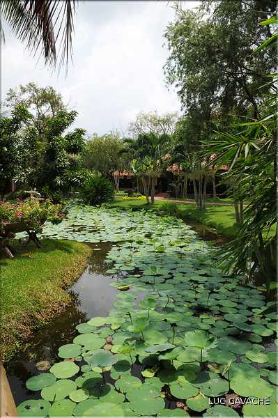Jardin ornemental, non loin du Delta du Mékong. (6)