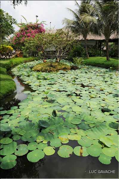 Jardin ornemental, non loin du Delta du Mékong. (8)