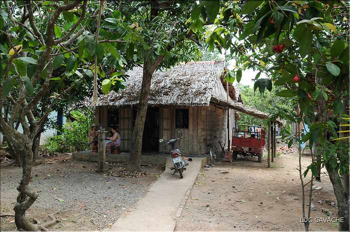 Habitat traditionnel dans le Delta du Mekong. (1)