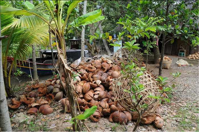 Habitat traditionnel dans le Delta du Mekong. (2)