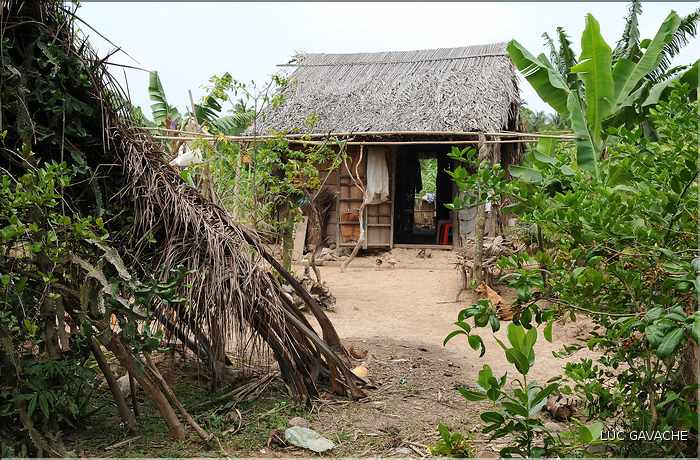 Habitat traditionnel dans le Delta du Mekong. (3)