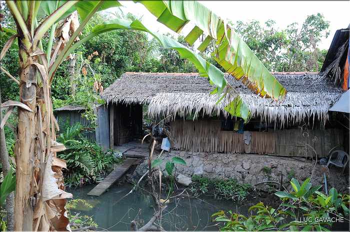 Habitat traditionnel dans le Delta du Mekong. (6)
