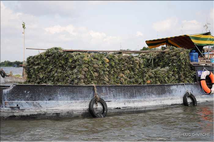 Marché flottant de gros de Cai Be. (2)