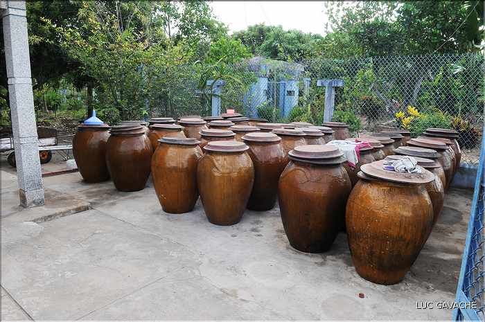 La maturation du nuoc mâm, sauce à base de poisson fermenté, prendra 12 mois.